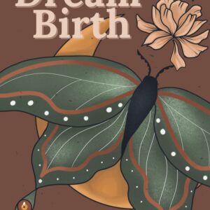 dream birth workbook cover