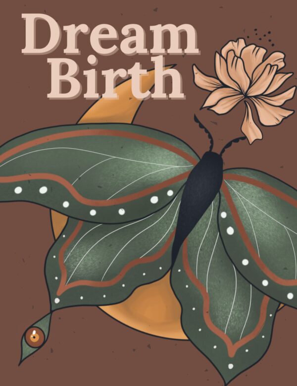 dream birth workbook cover